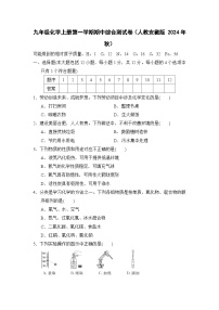 九年级化学上册第一学期期中综合测试卷（人教安徽版 2024年秋）