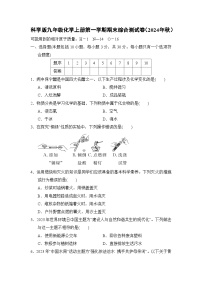 科学版九年级化学上册第一学期期末综合测试卷（2024年秋）