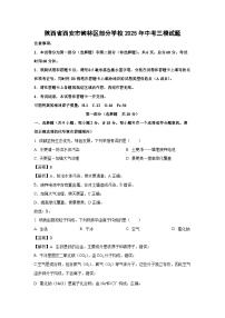 陕西省西安市碑林区部分学校2025年中考三模化学试卷（解析版）
