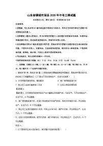 山东省聊城市冠县2025年中考三模化学试卷（解析版）