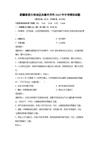 新疆维吾尔自治区乌鲁木齐市2025年中考模拟化学试卷（解析版）