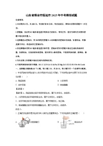 山东省烟台市招远市2025年中考模拟化学试卷（解析版）