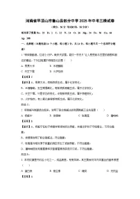 河南省平顶山市鲁山县部分中学2025年中考三模化学试卷(解析版)