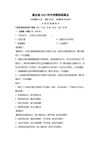 湖北省2025年中考模拟五化学试卷（解析版）