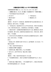 安徽省宿州市萧县2025年中考模拟化学试卷（解析版）