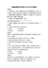 安徽省铜陵市部分学校2025年中考三模化学试卷（解析版）