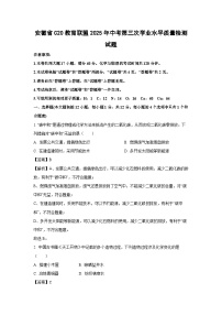 安徽省C20教育联盟2025年中考第三次学业水平质量检测化学试卷（解析版）