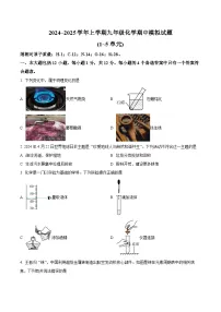 【9化期中模拟】合肥市西苑中学2024~2025学年九年级上学期化学期中模拟试题
