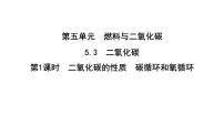 科粤版（2024）九年级上册（2024）二氧化碳背景图ppt课件