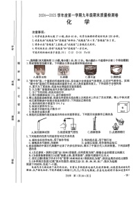 安徽省阜阳市太和县2024-2025学年九年级上学期1月期末考试化学试题