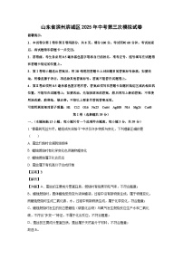 山东省滨州滨城区2025年中考第三次模拟化学试卷（解析版）