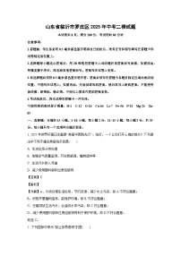 山东省临沂市罗庄区2025年中考二模[中考模拟] 化学试卷（解析版）