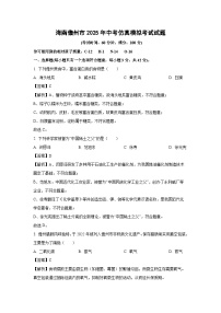 海南儋州市2025年中考仿真模拟考试化学试卷（解析版）