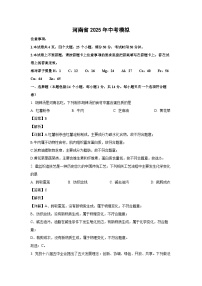 河南省2025年中考模拟化学试卷（解析版）