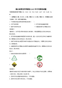 湖北省黄石市阳新县2025年中考模拟 化学试卷（解析版）