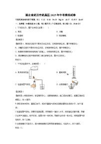 湖北省武汉市武昌区2025年中考模拟化学试卷（解析版）