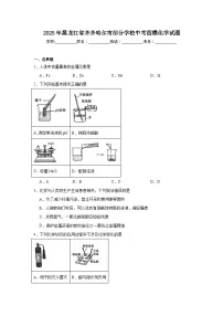 2025年黑龙江省齐齐哈尔市部分学校中考四模化学试题（无答案）