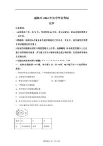 2024年山东省威海市中考化学真题（含答案）