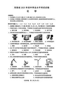 2025年河南省初中学业水平考试化学试卷（无答案）