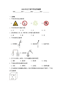 2025年辽宁省中考化学真题（无答案）