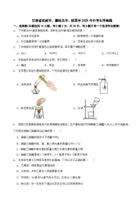 甘肃省武威市、嘉峪关市、临夏州2025年中考化学真题及答案