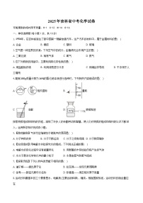2025年吉林省中考化学试卷（含解析）