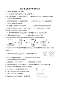 2025年山东省中考化学试卷（含解析）