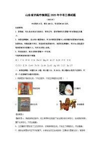 【化学】山东省济南市槐荫区2025年中考三模试题（解析版）