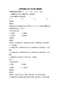 【化学】上海市某校2025年中考三模试卷（解析版）
