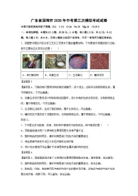 【化学】广东省深圳市2025年中考第三次模拟考试试卷（解析版）