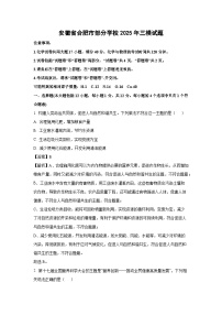 【化学】安徽省合肥市部分学校2025年中考三模试题（解析版）
