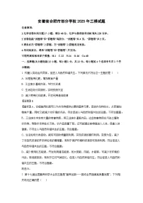 【化学】安徽省合肥市部分学校2025年中考三模试题（解析版）