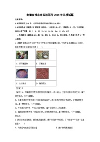【化学】安徽省淮北市五校联考2025年中考三模试题（解析版）