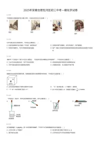 2025年安徽合肥包河区初三中考一模化学试卷（有答案解析）