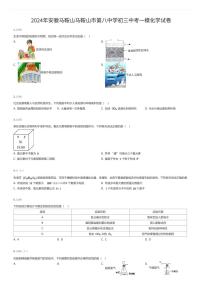 2024年安徽马鞍山马鞍山市第八中学初三中考一模化学试卷（有答案解析）