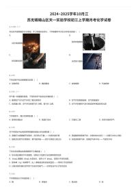 2024~2025学年10月江苏无锡锡山区天一实验学校初三上学期月考化学试卷（有答案解析）