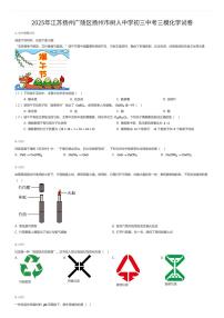 2025年江苏扬州广陵区扬州市树人中学初三中考三模化学试卷（有答案解析）