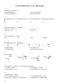 2025年天津和平区初三中考三模化学试卷（有答案解析）