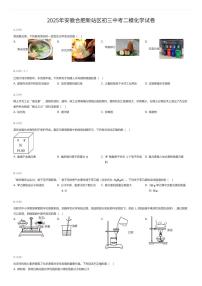 2025年安徽合肥新站区初三中考二模化学试卷（有答案解析）
