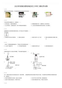 2025年安徽合肥瑶海区初三中考二模化学试卷（有答案解析）