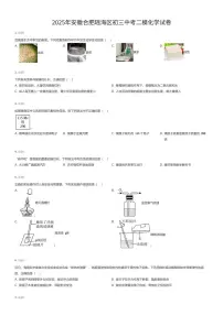 2025年安徽合肥瑶海区初三中考二模化学试卷（有答案解析）
