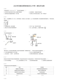 2025年安徽合肥瑶海区初三中考一模化学试卷（有答案解析）