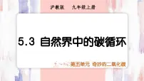 初中化学沪教版（2024）九年级上册（2024）自然界中的碳循环教学ppt课件