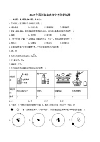 2025年四川省宜宾市中考化学试卷（含解析）