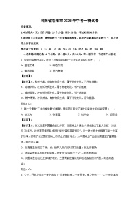 河南省洛阳市2025年中考一模化学试卷（解析版）