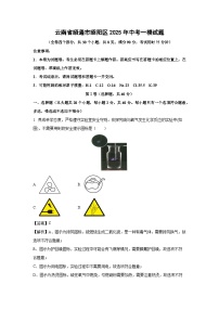 云南省昭通市昭阳区2025年中考一模化学试卷（解析版）
