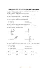 2024～2025学年广西南宁市第四十七中学九年级上期中化学试卷