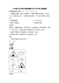 【化学】广东省中山市纪中教育集团2025年中考三模试题（解析版）