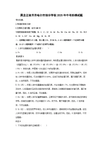 【化学】黑龙江省齐齐哈尔市部分学校2025年中考四模试题（解析版）