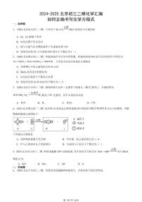 2024-2025北京初三二模化学汇编：如何正确书写化学方程式  有答案解析试卷